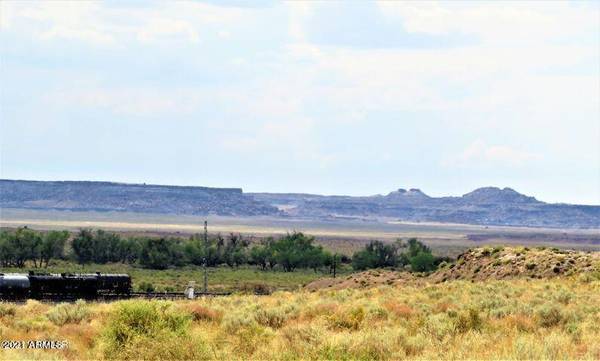 Sanders, AZ 86512,Adamana Rd 43.86 Acres -- #-