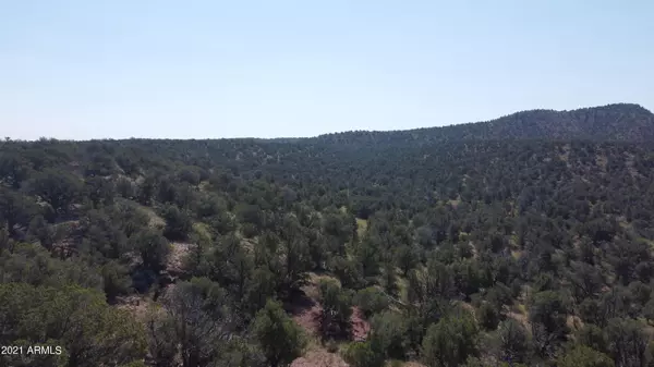 Ash Fork, AZ 86320,0 Juniperwood Ranch -- #269