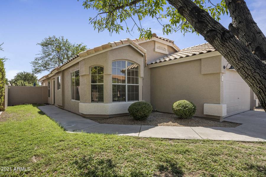 1071 W LARK Drive, Chandler, AZ 85286