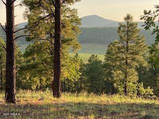 4140 S BIG SKY Road #200, Flagstaff, AZ 86005