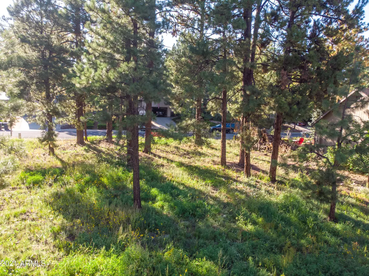 Flagstaff, AZ 86005,3258 S Justin Street #270