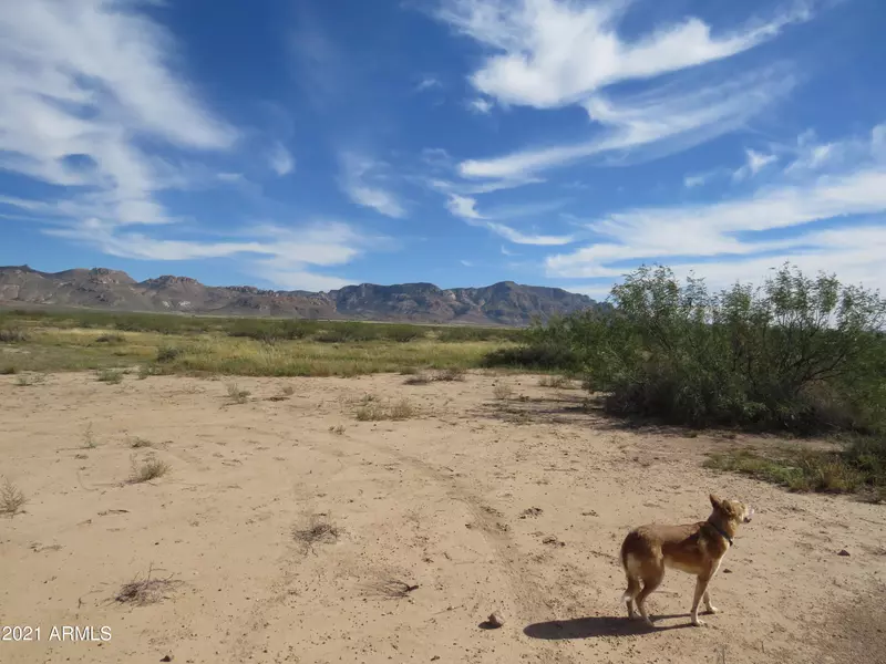 Triangle Ranches #38, 10 Acres -- #-, Portal, AZ 85632