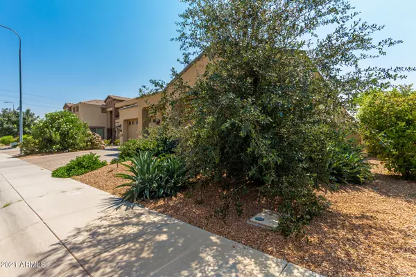 Chandler, AZ 85249,261 E SAN CARLOS Way