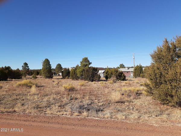 Overgaard, AZ 85933,2232 MEADOW Lane #229