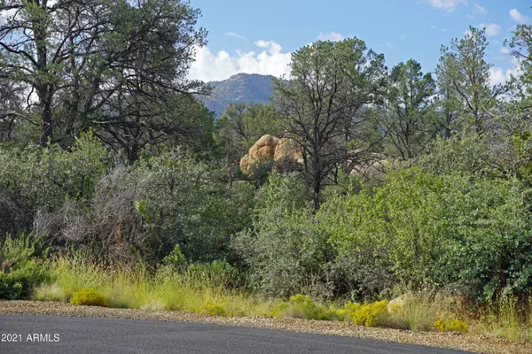 Prescott, AZ 86305,4485 W POINTER MOUNTAIN Circle #74