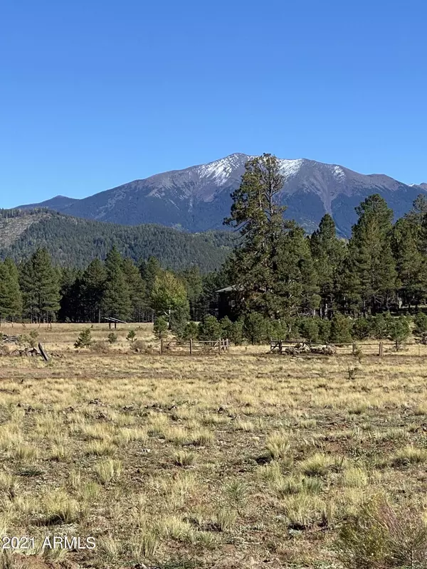 Flagstaff, AZ 86001,17404 CROWLEY Trail #-