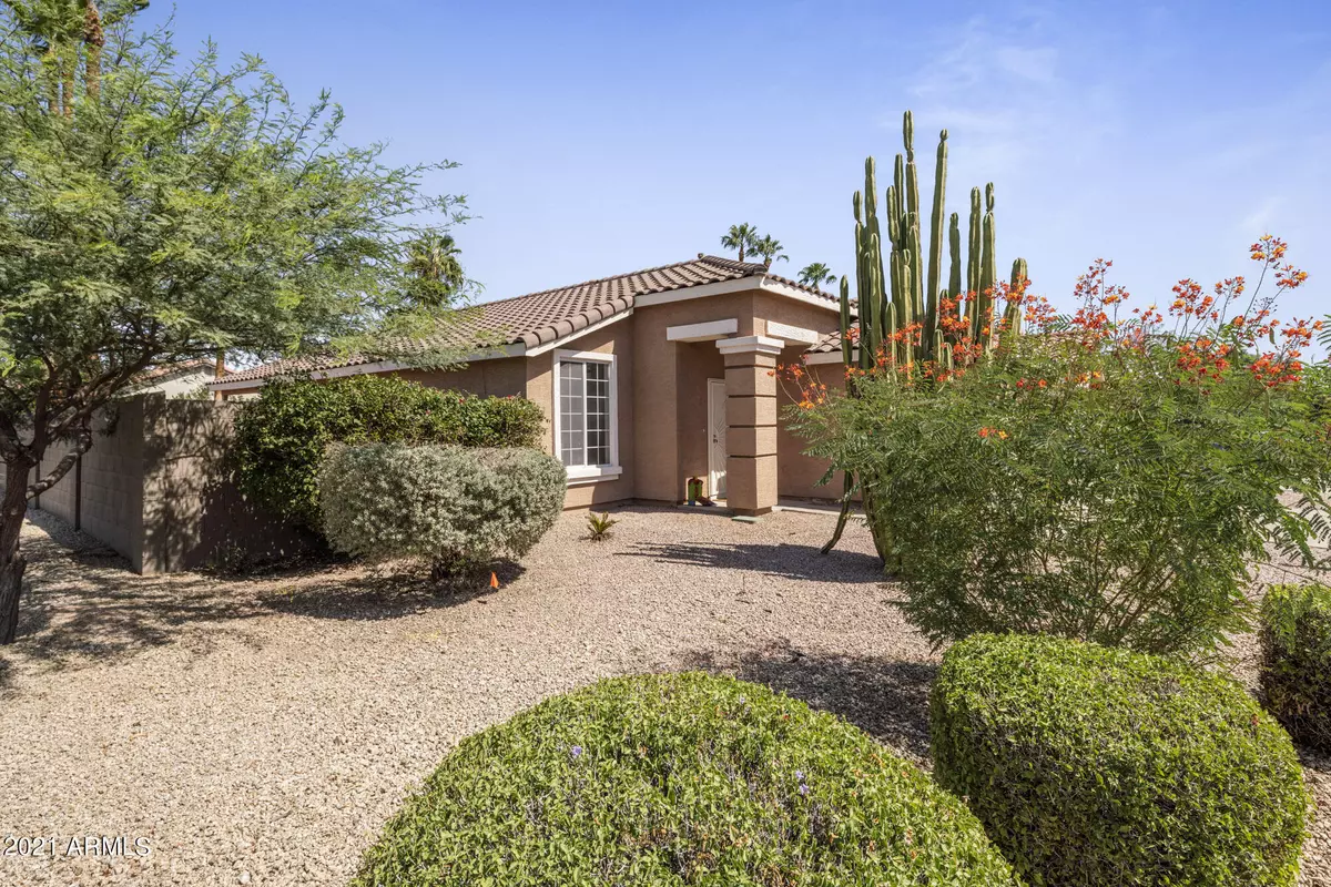 Chandler, AZ 85286,2254 E BROWNING Place