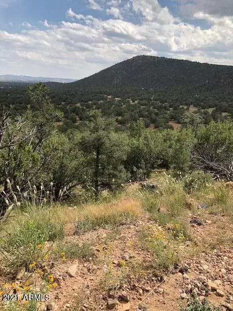 Seligman, AZ 86337,Non Assigned -- #1481