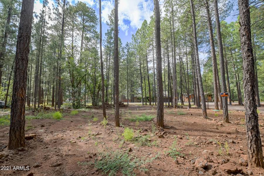 4310 DEEP FOREST Drive #94, Pinetop, AZ 85935