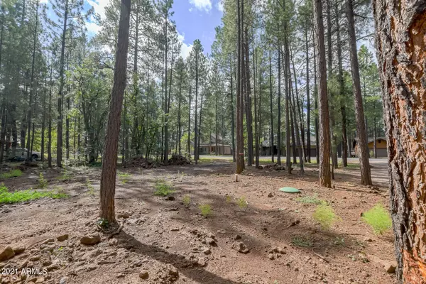 Pinetop, AZ 85935,4310 DEEP FOREST Drive #94