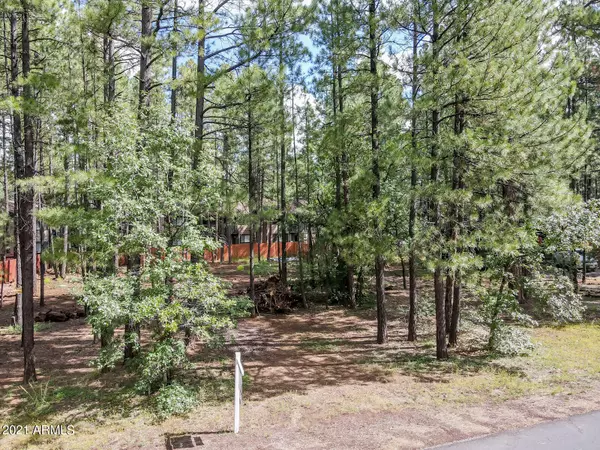 Pinetop, AZ 85935,4310 DEEP FOREST Drive #94