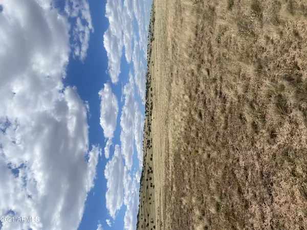 Seligman, AZ 86337,0 W Colinas  Verde Lane #152