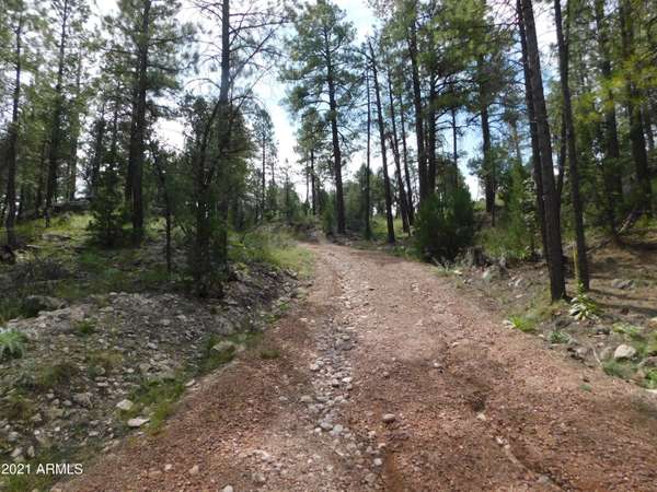 Heber, AZ 85928,2926 DEER HILL Road #23......