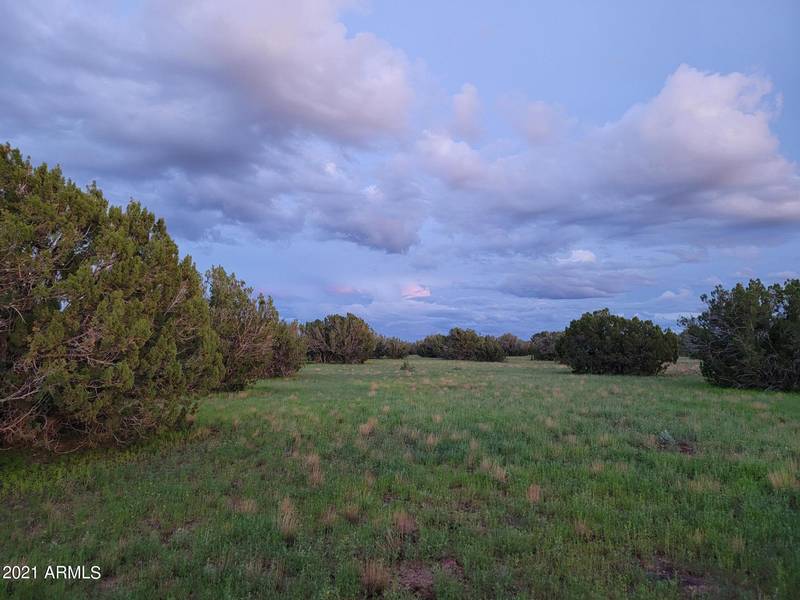 113 Elk Run #-, Show Low, AZ 85901