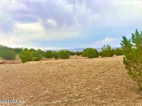 32048 W CALLE INES -- #5022, Seligman, AZ 86337