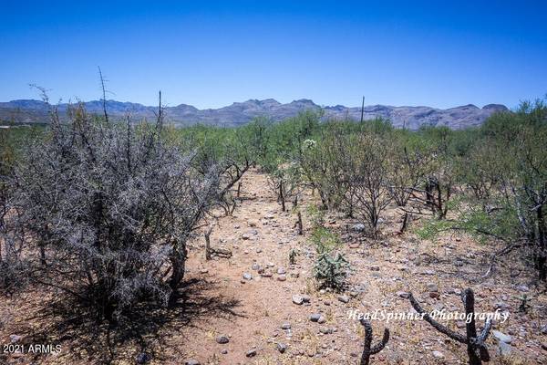 Rio Rico, AZ 85648,1804 Birmania Ct -- #11