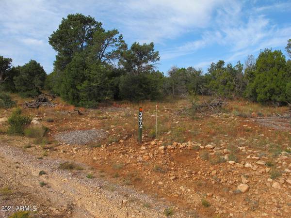 Happy Jack, AZ 86024,3972 Sunset Ridge Loop #138