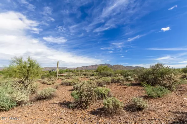 66 E SABER Road #-, Cave Creek, AZ 85331