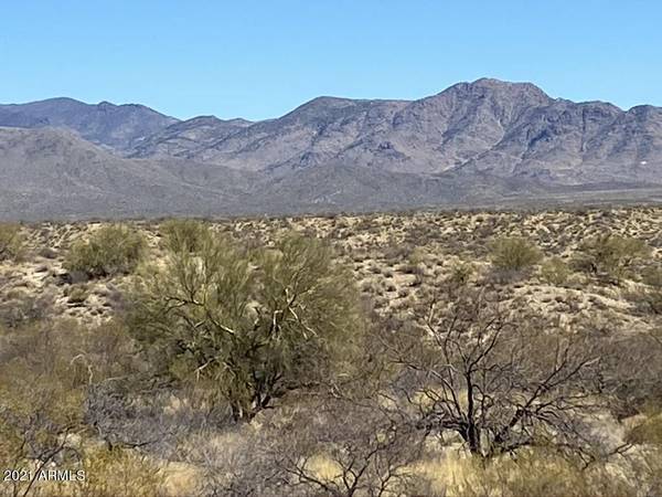 Congress, AZ 85332,S Buckaroo #2 Road #-