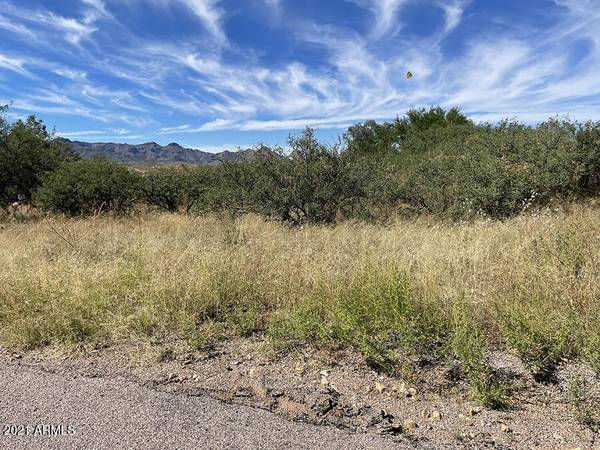 Rio Rico, AZ 85648,200 Circulo Silva -- #18