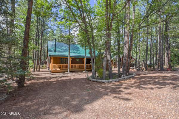 Pinetop, AZ 85935,3456 TURKEY TRACK Road