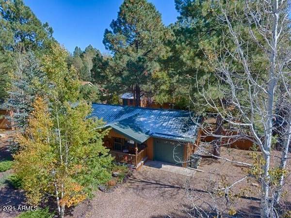 Pinetop, AZ 85935,5059 NIGHT HAWK Loop