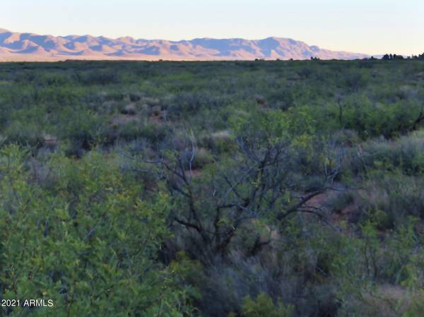 Portal, AZ 85632,Triangle Unit 7 Lot 202 -- #202