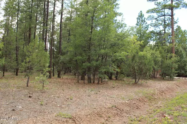 Timber PIne Lane #87, Pinetop, AZ 85935