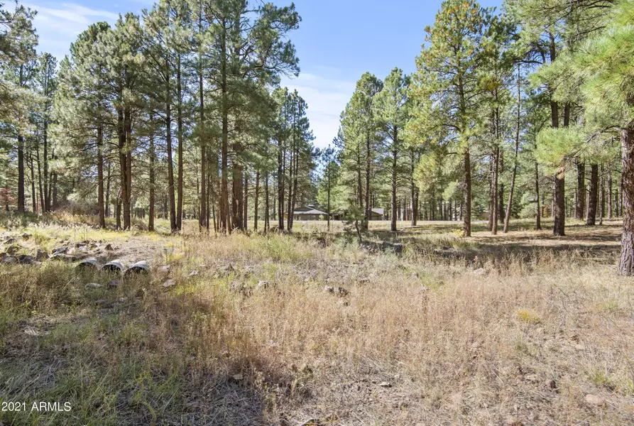 2466 Edward Ayer -- #76, Flagstaff, AZ 86005