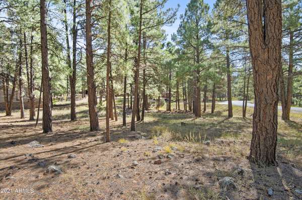 Flagstaff, AZ 86005,2466 Edward Ayer -- #76