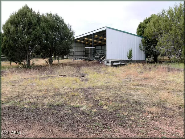 Clay Springs, AZ 85923,4749 Sawmill Road