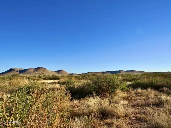 Pearce, AZ 85625,Doe Ranch Rd 40.1 Aces -- #40