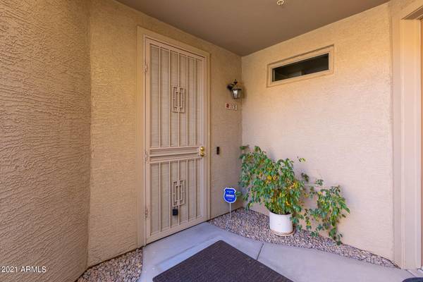 Chandler, AZ 85225,955 E KNOX Road #113