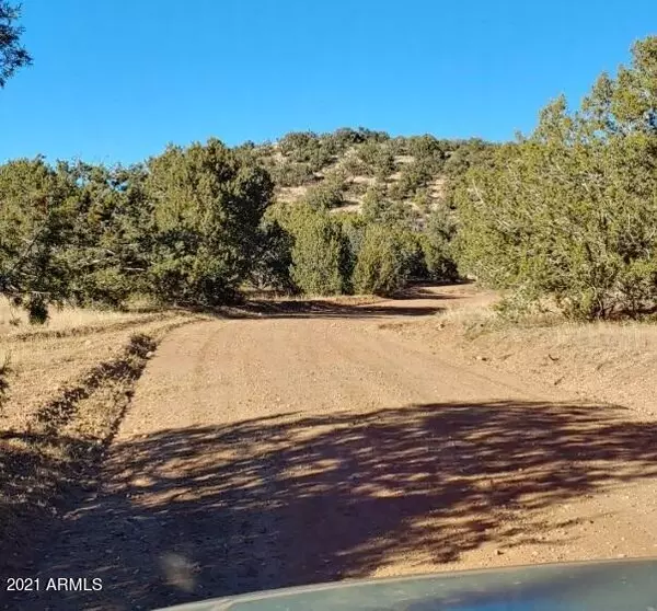 Williams, AZ 86046,Wolf Road #920