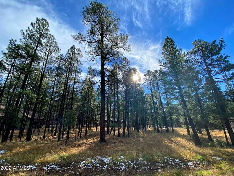 7508 TALL PINE Drive #10, Pinetop, AZ 85935