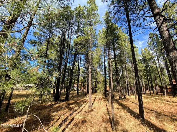 Pinetop, AZ 85935,7508 TALL PINE Drive #10