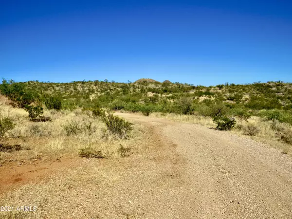 Gleeson, AZ 85610,Town Trl 101 Acres -- #-
