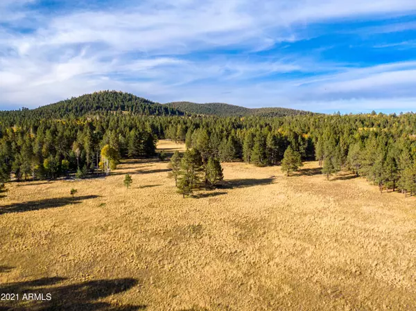 Flagstaff, AZ 86001,0 N Private Road