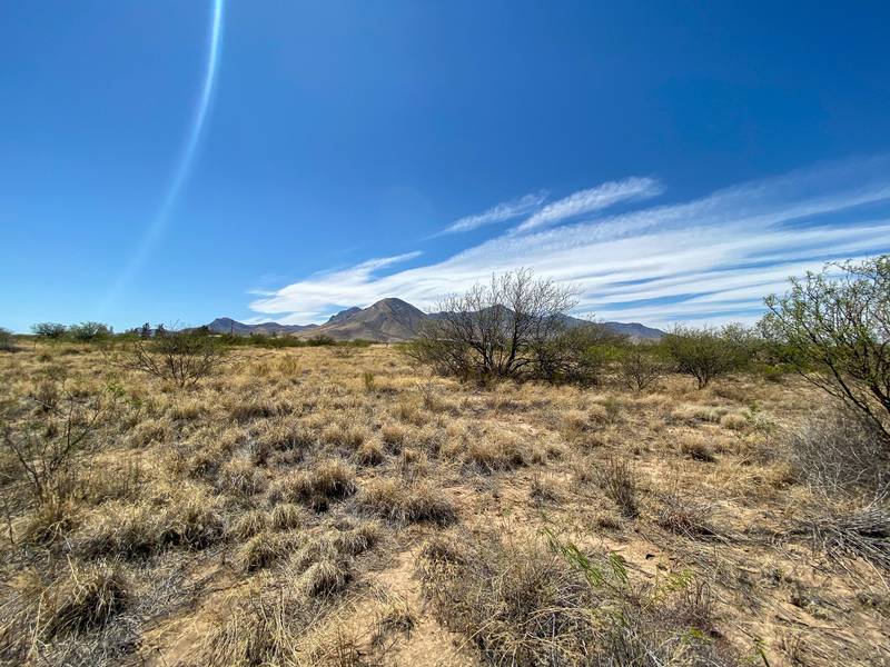 0 S Paint Ranch Road #L, Hereford, AZ 85615