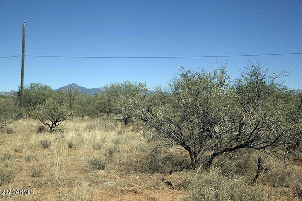 Rio Rico, AZ 85648,1844 Silver Ct -- #78