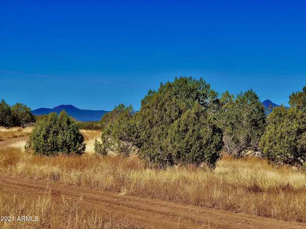 Ash Fork, AZ 86320,3336 N BOONE Trail #119