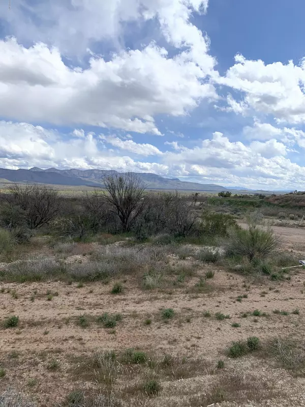 Tonto Basin, AZ 85553,94 W Canyon Ridge Drive #-