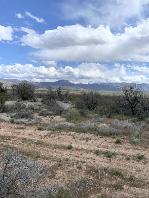 Tonto Basin, AZ 85553,94 W Canyon Ridge Drive #-