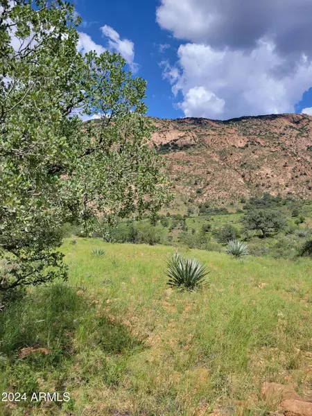 Hannon Ranch Lane #110-51-013-B9, Bisbee, AZ 85603