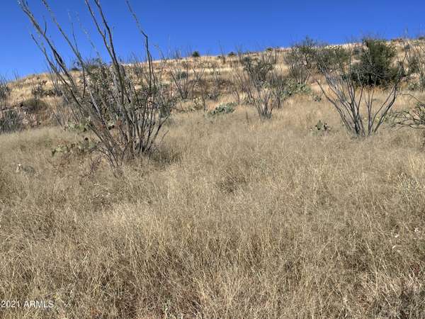 Rio Rico, AZ 85648,394 Esponja Ct -- #85