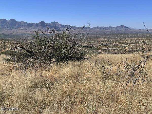 Rio Rico, AZ 85648,394 Esponja Ct -- #85