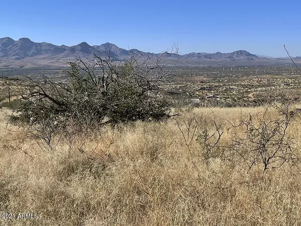 394 Esponja Ct -- #85, Rio Rico, AZ 85648