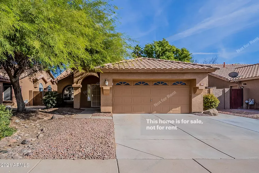 795 S CAMELLIA Drive, Chandler, AZ 85225