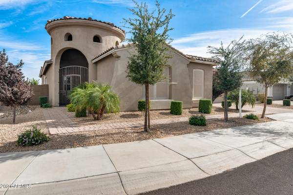 Litchfield Park, AZ 85340,5319 N 145TH Drive