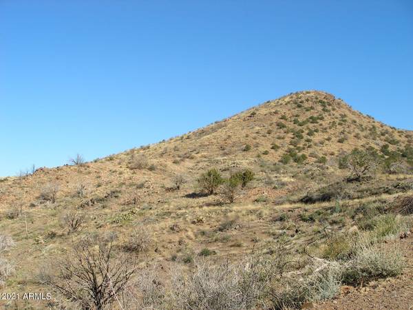 Black Canyon City, AZ 85324,2 Red Rover Mine Road -- #-